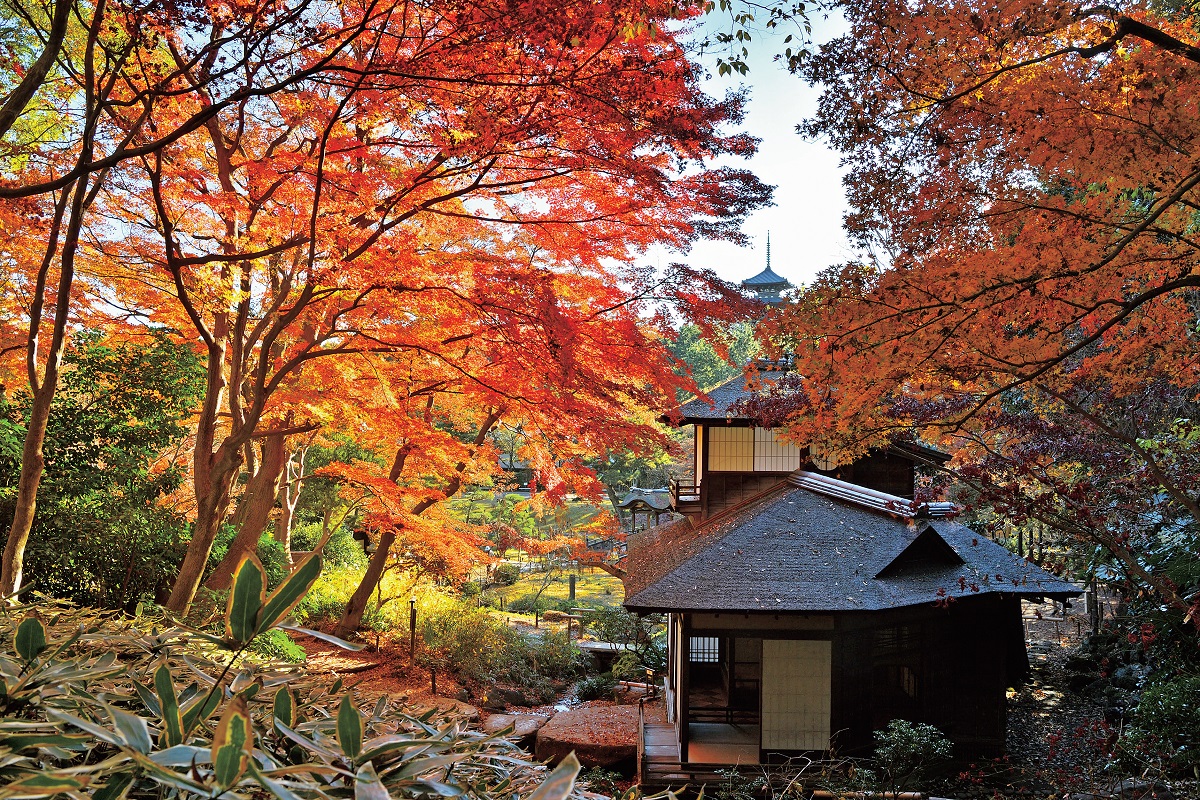 Jardín de Sankeien