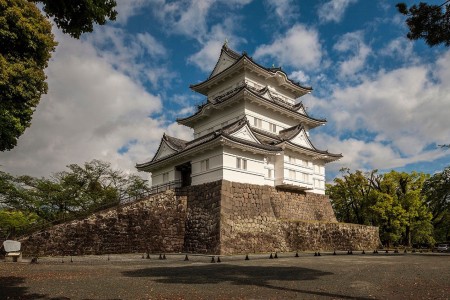 Castillo de Odawara y recolección de frutas