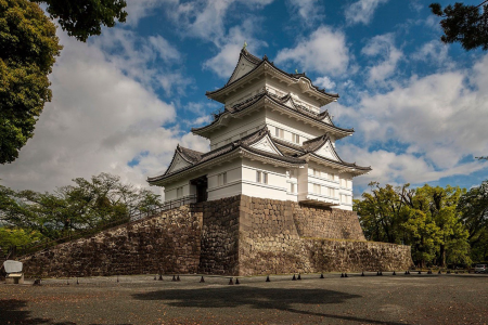 Die Burg Odawara und Obstpflücken image