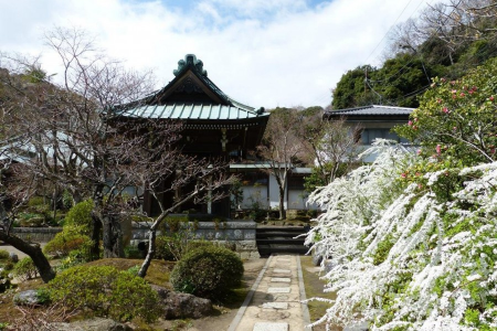 Những Ngôi Đền và Cỏ Ba Lá Trên Đồng Cỏ Yokosuka image