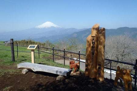 Blick auf den Fuji mit Kirschblüten (vom Wanderweg des Berges Ono) image