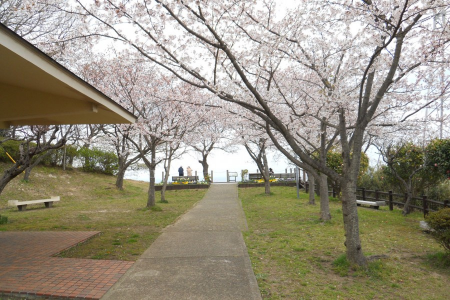 無憂無慮地漫步在橫須賀的公園裡 image
