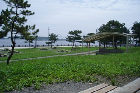 お花畑と海の公園グルメさんぽ image