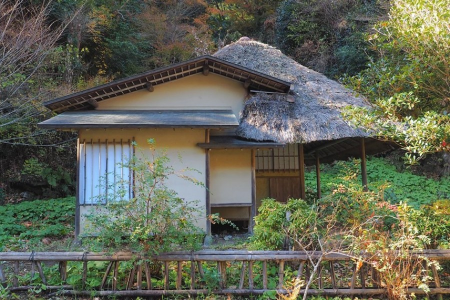 Enjoy the Old and New of Kamakura with Tea Ceremonies and Shopping