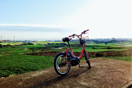Ein Tag mit Sightseeing und Radfahren in Jogashima image