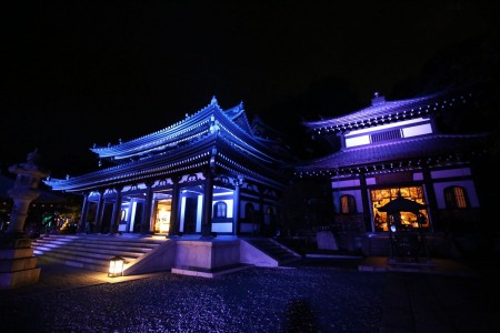 幻想的な古都鎌倉で自然や歴史と共に歩む旅