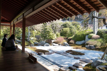 漫步在镰仓的日本花园和寺庙之间 image