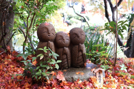 在色彩斑斕的鎌倉慶祝秋天