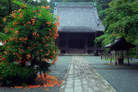 在鎌倉的寺廟中度過一天，逃離城市的喧囂 image