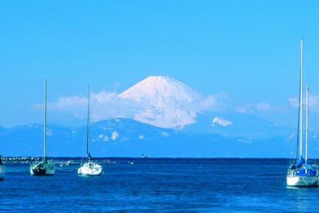 Profitez de la brise océanique tout en explorant la nature et les monuments de Miura