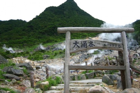 欣赏箱根的火山蒸汽和湖畔美景
