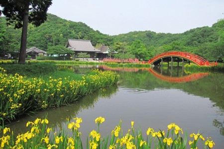 坐禅体験と絶景日本式庭園堪能