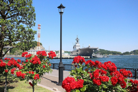 Familienausflug in Yokosuka: Blumen und Spaß am Wasser