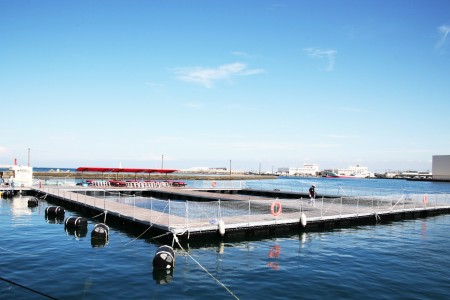 相模灣沿岸的三浦海鮮體驗館