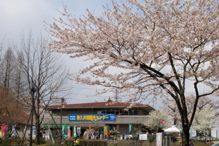 Khám Phá Thời Kỳ Jomon ở Sagamihara image