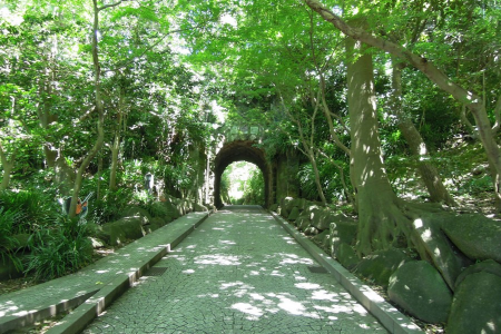 Marchez sur les pas des maîtres de la littérature dans le vieux Kamakura image