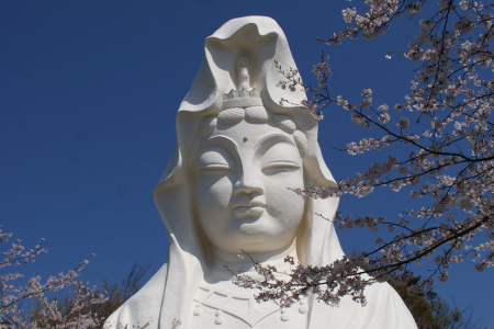巨大仏像と個性的な寺院