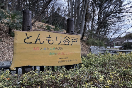 Miyamaes Schreine und Natur-Tour image