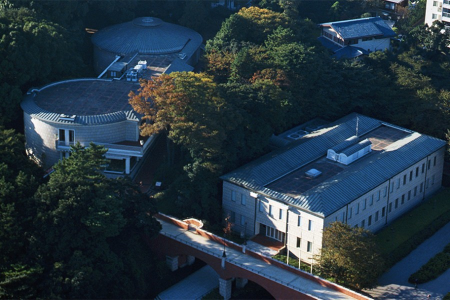 Visitez le Musée de la littérature moderne de Yokohama et prenez place au milieu des roses image