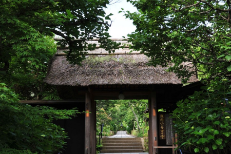 游览镰仓神社和寺庙的禅意之日 image