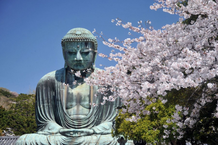 鎌倉寺廟和神社的平靜之旅