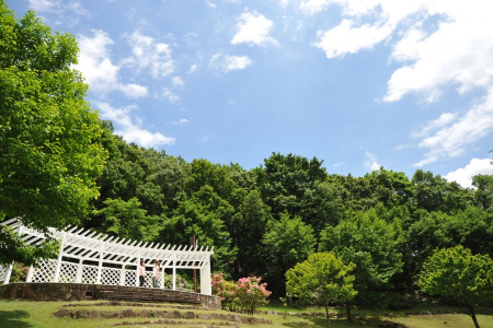 在公園、寺廟、溫泉和當地農產品中享受厚木的自然風光 image