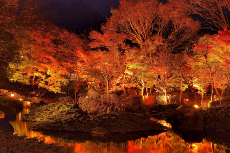 欣赏神奈川县沿海城镇的传统园林和建筑