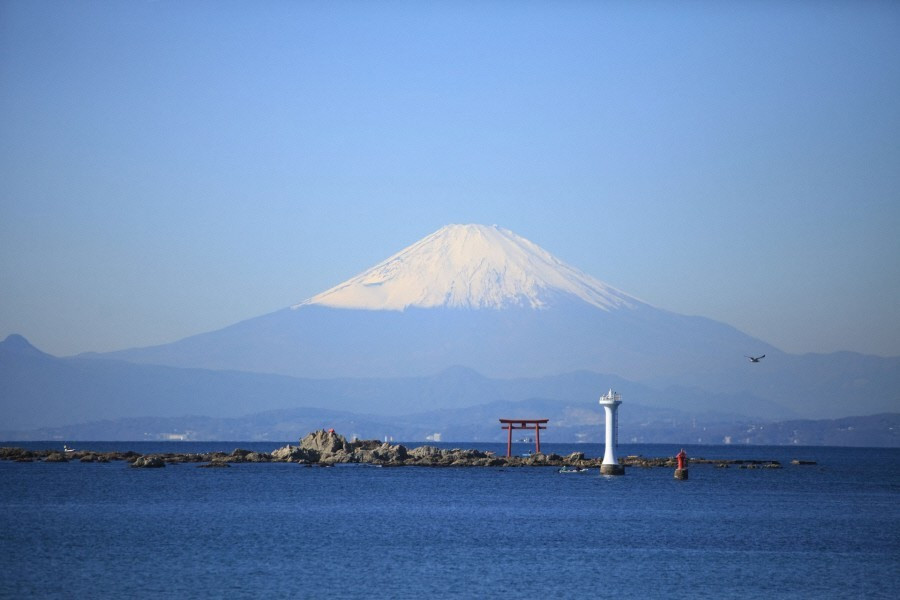 Un día en el agua con vistas espectaculares de la bahía de Sagami