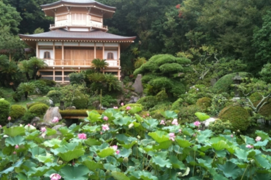 카나메 칸논 보살 투어: 히라쓰카의 역사 탐방