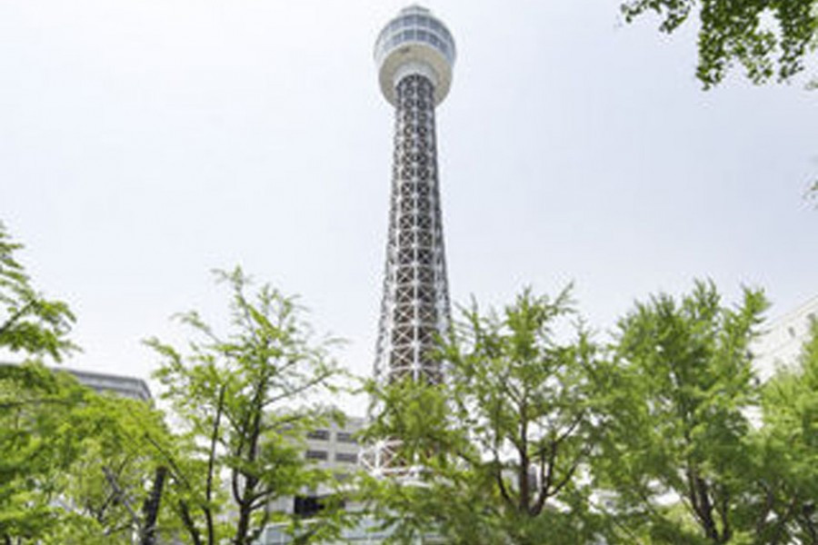 從東京到橫濱：高樓大廈之旅