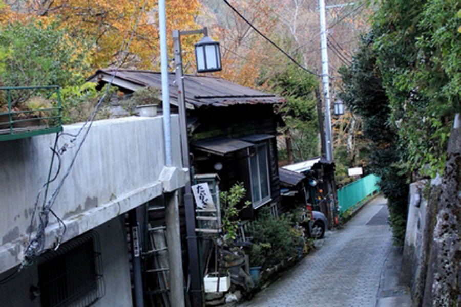 Mùa Hè ở Hakone: Tour Tản Bộ và Trải Nghiệm Múa Lân