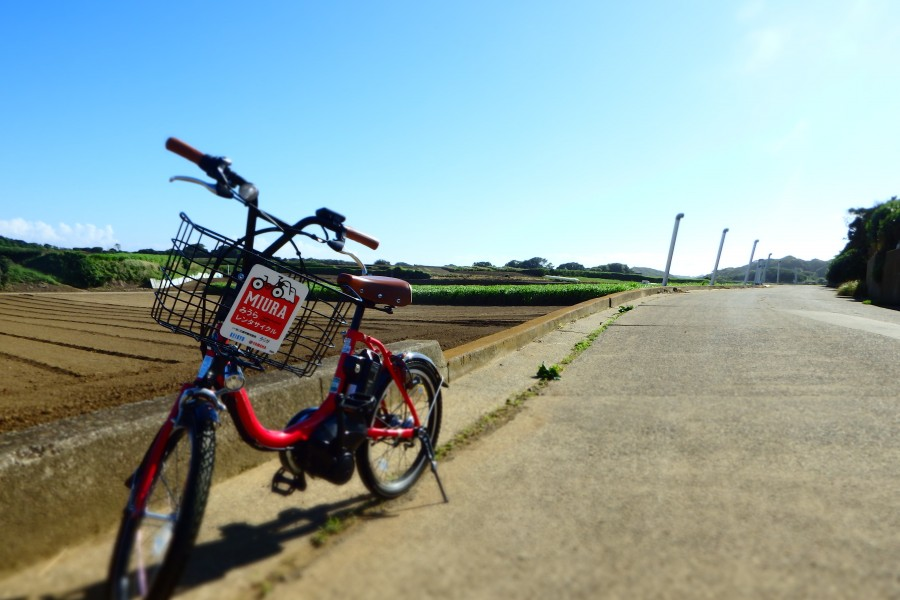 사루시마 섬을 방문 후 미우라의 해안가를 따라 자전거로 경치를 감상하세요