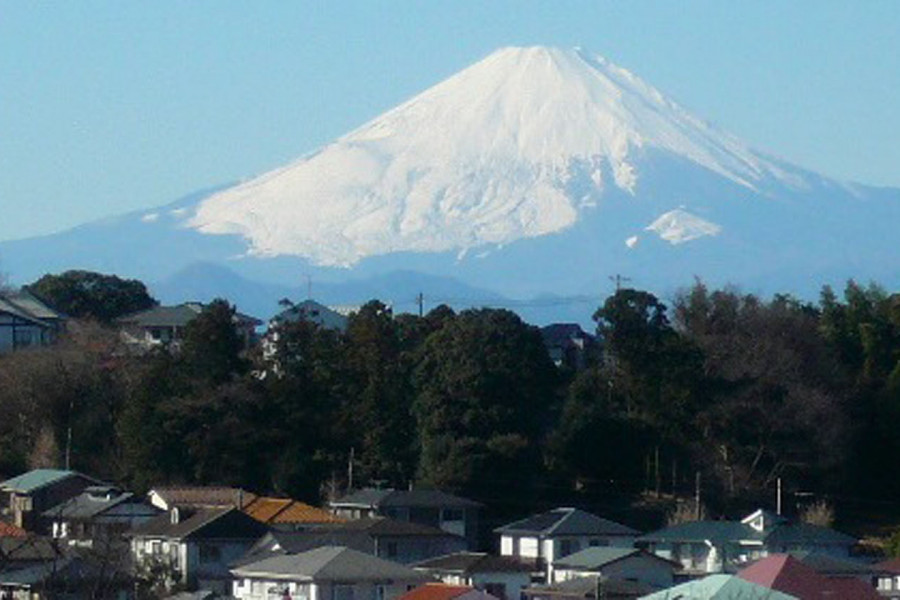 Từ Enoshima đến Hakone: Mua Sắm và Ngắm Cảnh