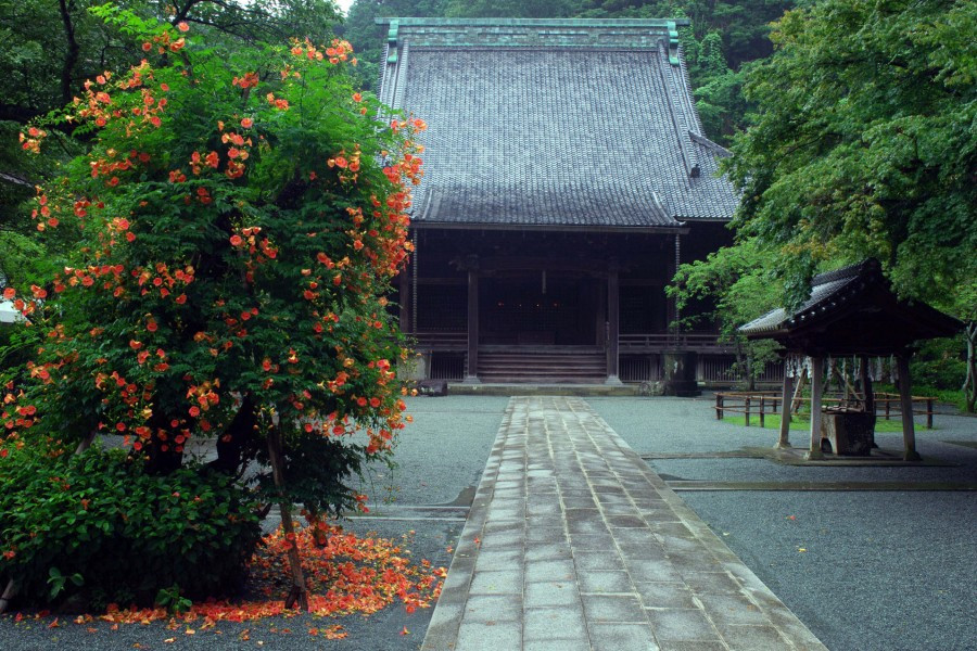 在鎌倉的寺廟中度過一天，逃離城市的喧囂