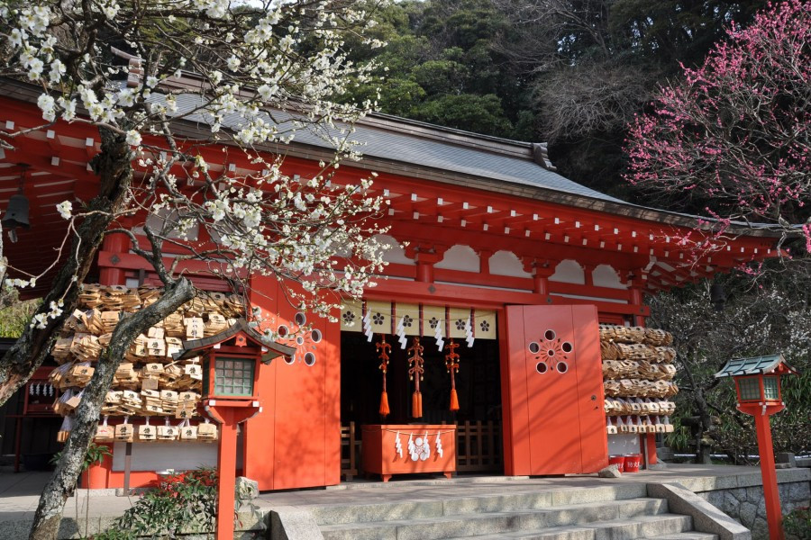 Ein Tag der Selbstreflexion zwischen Kamakuras Tempeln und Schreinen