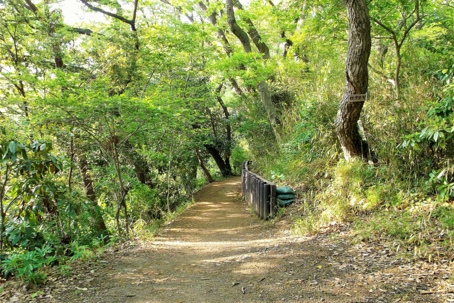 鎌倉から金沢へ・天園と六国峠ハイキング