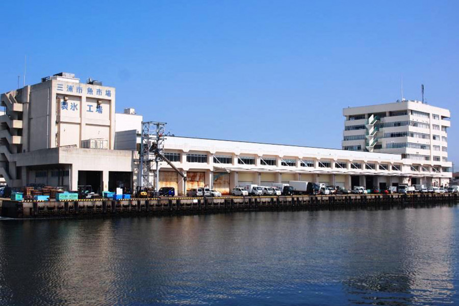 Visita al mercado del puerto de Misaki y taller de cerámica