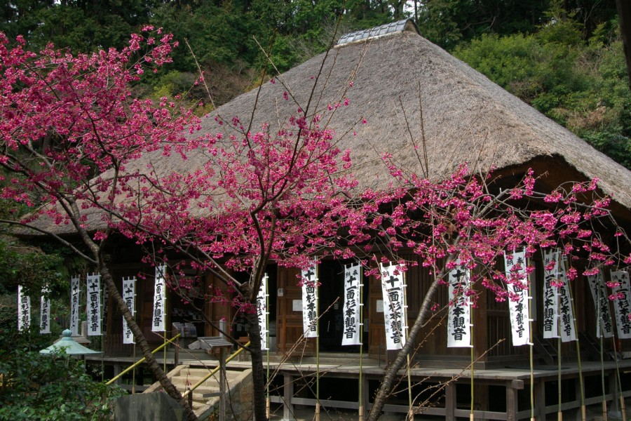 Kanazawa-Tempelspaziergang und Meditationserlebnis