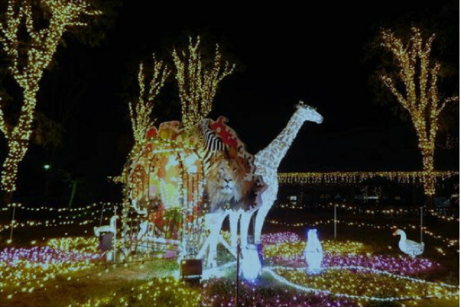 横滨Zoorasia动物园的晚间灯饰