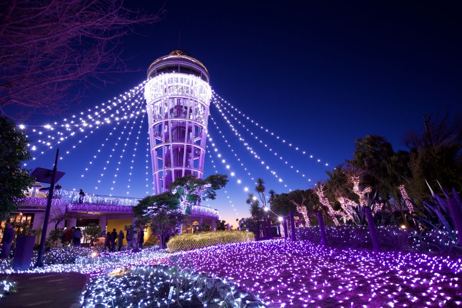 Explore Enoshima by Day and Enjoy its Dazzling Illuminations by Night