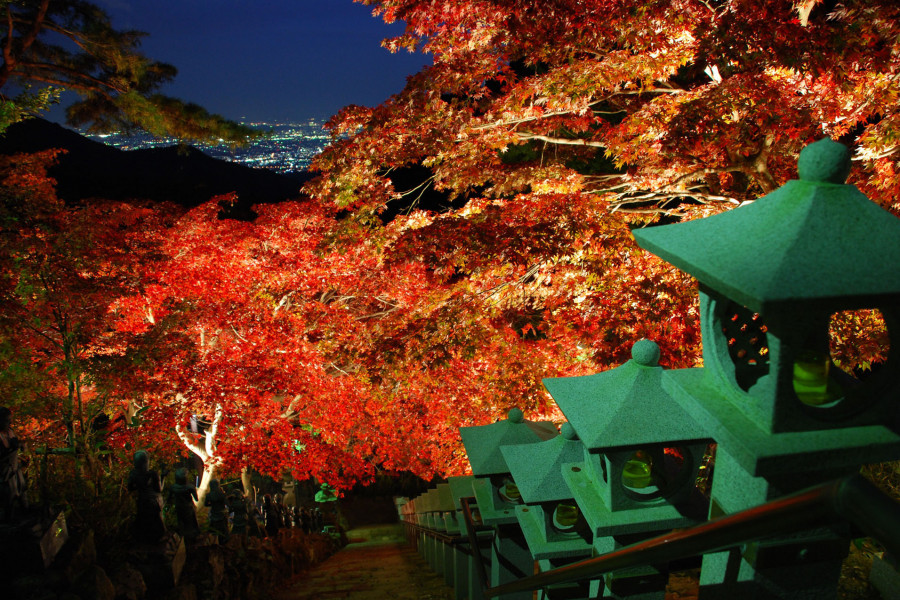 ミシュラン認定の眺望・大山ハイキングと秋の紅葉ライトアップ