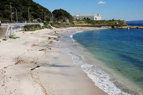 Top Beaches in the Tokyo Area