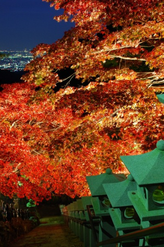 카나가와에서의 가을