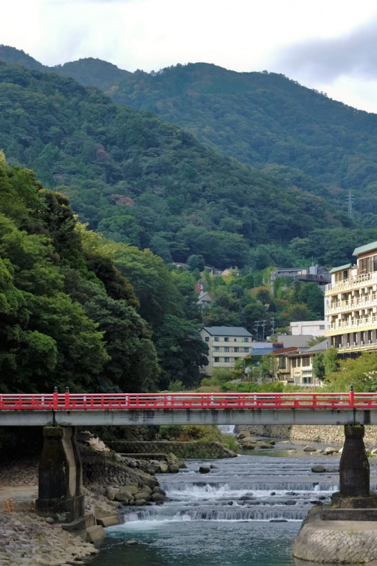 箱根的大自然之旅