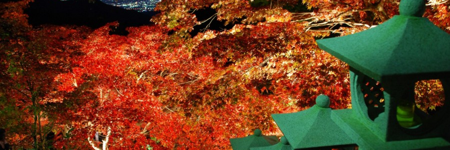 카나가와에서의 가을