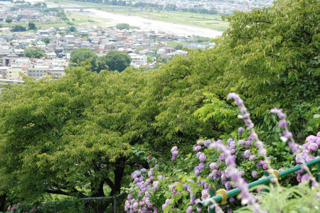 松田町　自然の中で静寂との出会い image