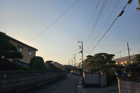 欣賞並品味大井町的自然恩賜