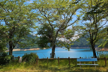 Embrace a Nature Escape to Lake Miyagase