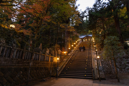 ค้นหาเสน่ห์การผจญภัยที่ซ่อนเร้นในอาชิการะ จังหวัดคานากาวะ