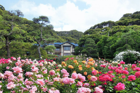 Découvertes culturelles de Kamakura: découvrez le Japon antique lors d&#039;une excursion d&#039;une journée depuis Tokyo image